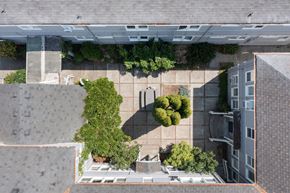 Shelton apartment for rent - an aerial view of the garden