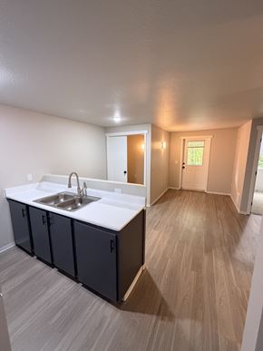 Seattle apartment for rent - A kitchen with a sink and cabinets.
