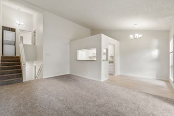 Bellevue apartment for rent - the living room of an apartment with carpet and a staircase