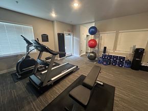 Tacoma apartment for rent - A gym room with a treadmill, exercise balls, and weights.
