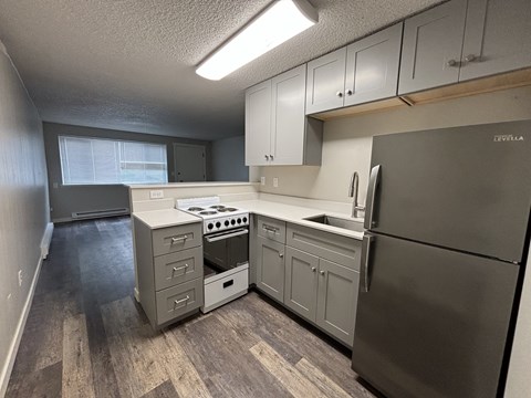 Floor plan for 1 bed, 1 bath, 557 sqft