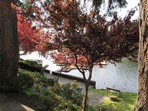 Olympia apartment for rent - Long Lake Apartments