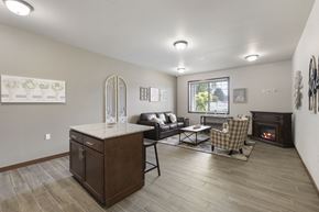 Olympia apartment for rent - A living room with a fireplace and a couch.