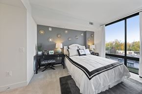 North Bethesda apartment for rent - Bedroom With Natural Lighting at Aurora, Maryland