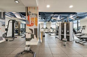 Cambridge apartment for rent - A gym with a variety of equipment including treadmills, weights, and exercise machines.