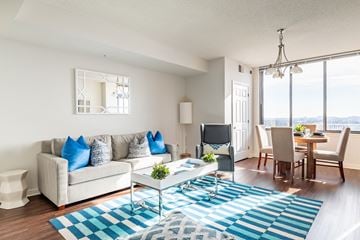 North Bethesda apartment for rent - A living room with a white couch and a blue rug.