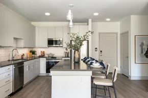Conshohocken apartment for rent - The Birch 51 Washington - Kitchen