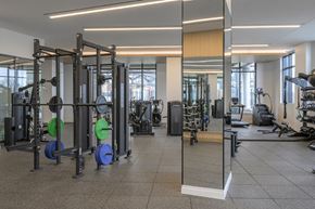 North Bethesda apartment for rent - A gym with a variety of equipment including weightlifting plates and a squat rack.