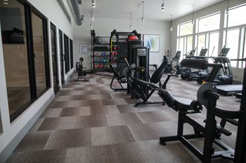 A gym with a variety of equipment including treadmills, weights, and exercise machines