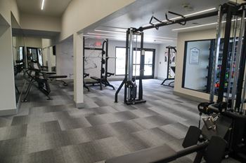 A gym with a variety of equipment including a treadmill, weights, and a bench press