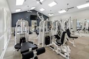 Brandon apartment for rent - a gym with cardio equipment and weights in a building with windows at Bridgewater Apartment Homes, Brandon