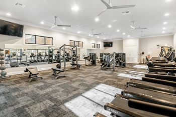 A gym with a variety of equipment including treadmills, weights, and exercise machines