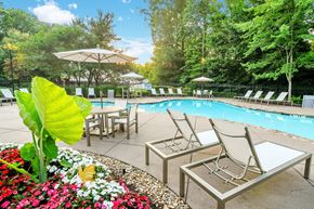 Bartlett apartment for rent - A pool surrounded by trees and chairs.