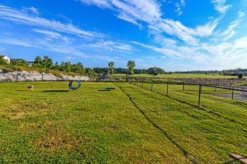 Bark park