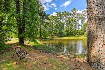 A bench sits next to a pond in a wooded area