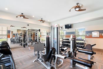 A gym with a variety of equipment including weights and a bench press 