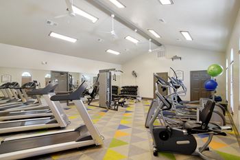 A gym with treadmills, elliptical machines, and other exercise equipment