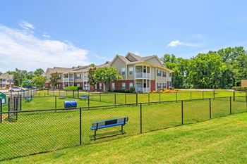 Bark park