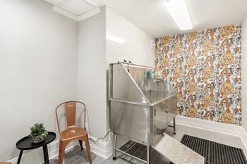 Pet washing station