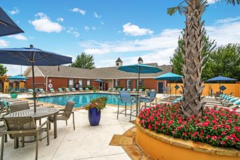 A pool area with a palm tree