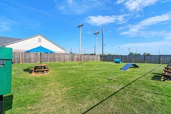 A dog park 