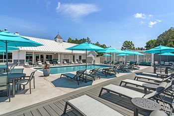 Pool and pool chairs 