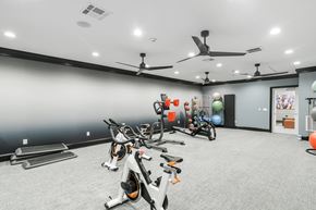 Meridian apartment for rent - the gym at The Woodlands Apartment Homes, Meridian, Mississippi