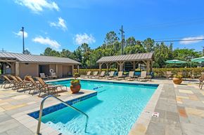 Brandon apartment for rent - our resort style swimming pool is filled with lounge chairs and umbrellas at Highpointe Apartment Homes, Mississippi