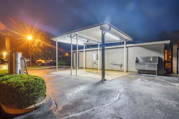 Car wash and pet washing station