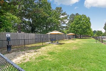Bark park