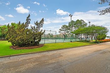Basketball court