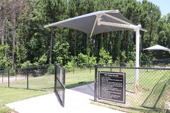 Bark park 