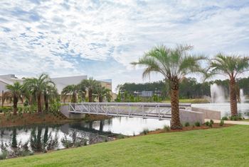 A modern building is surrounded by palm trees and a fountain.