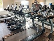 Tyler apartment for rent - a row of treadmills in a fitness room with windows at The Madison Apartment Homes in Tyler, 75703