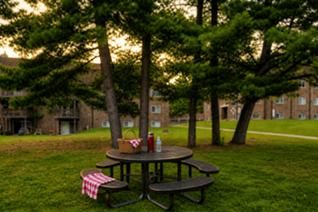 Picnic area