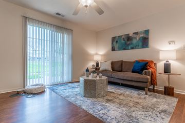 Greenwood apartment for rent - A living room with a couch, a rug, a dog, and a painting on the wall.