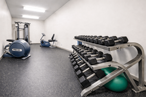 New Albany apartment for rent - A gym with a row of dumbbells and a blue exercise ball.