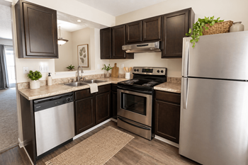 Fully-equipped kitchen appliances