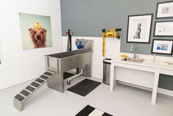 Dog wash station
