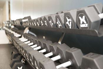Free weights