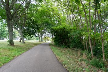 A path through a park with trees and grass
