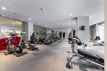 Gym with cardio machines and weights