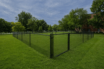 Dog park