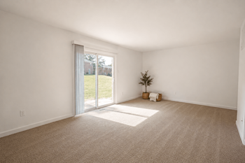 Carpeting