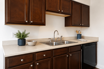 Stainless steel sinks