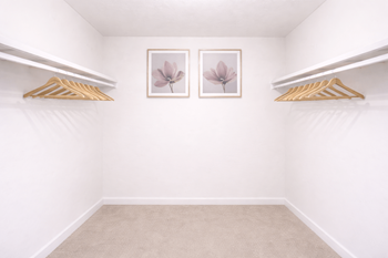 Large closets