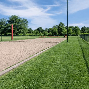Dog park