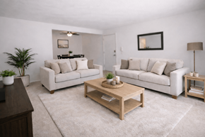 Indianapolis townhouse for rent - A living room with two couches, a coffee table, and a plant.