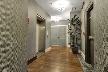 Elevator lobby with geometric wallpaper and hardwood flooring