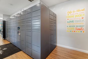 Hub package lockers